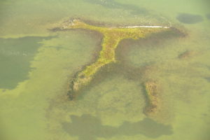 museo laguna; Museo Archeologico della laguna di Marano Lagunare, museo della laguna